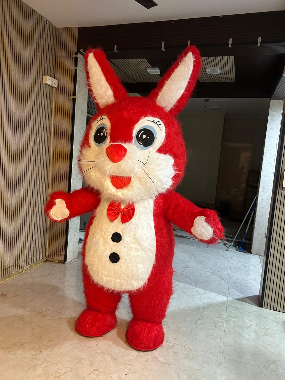 Mascot Act for Kids' Parties